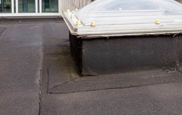 disadvantages of Burness flat roofs