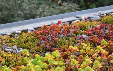 the cost of Burness green roof installation
