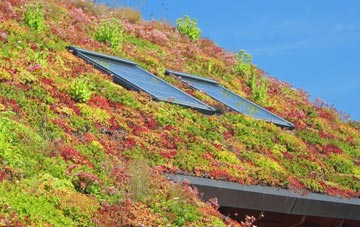 Burness living roof systems