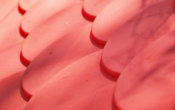 Burness plastic roof costs