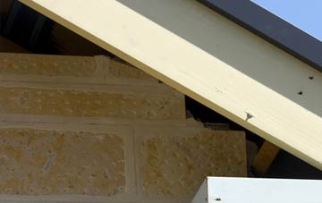 soffit repair Burness