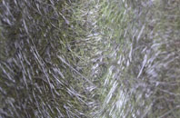 Burness fibreglass roof work