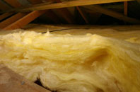 Burness pitch roof insulation