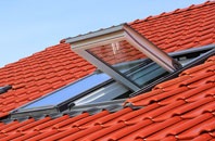 Burness roof window